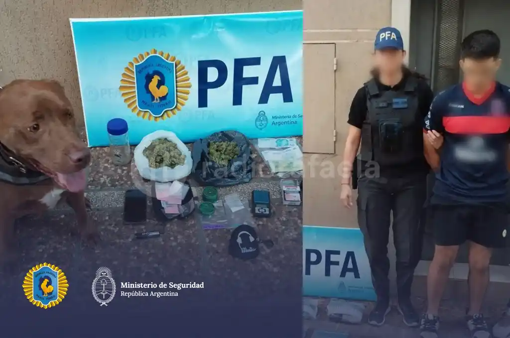 La Federal detuvo a un dealer con gran cantidad de droga en Santa Fe