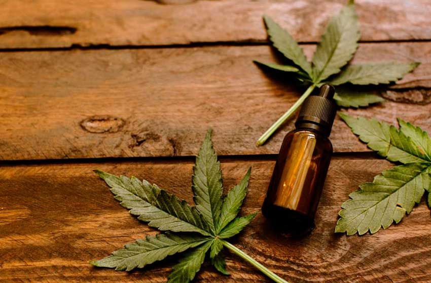 Los beneficios de usar aceite de CBD para bajar de peso