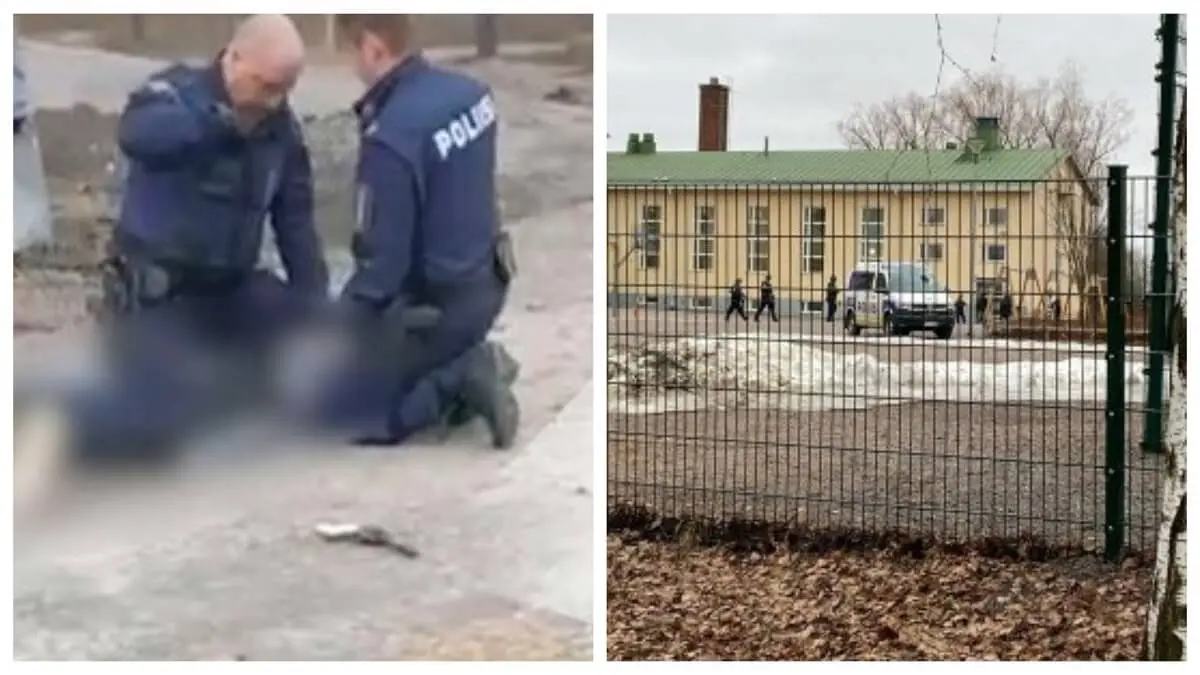¡TRAGEDIA EN FINLANDIA! Niño de 12 años ataca a tiros a sus compañeros de escuela: hay 1 muerto y dos heridos