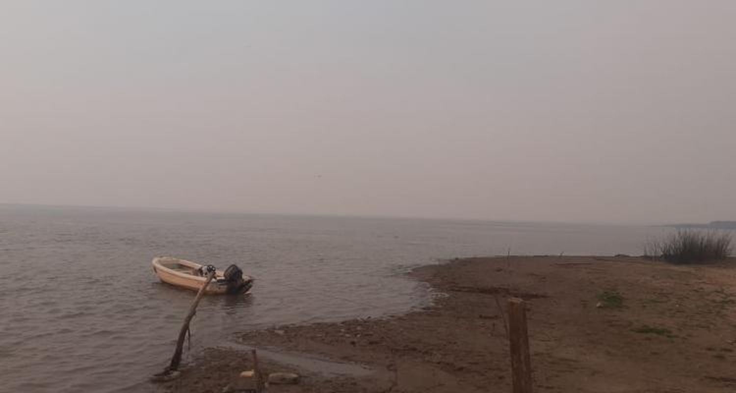 Incendios en la zona de islas: qué dice la ley de Humedales que debatirá la Legislatura bonaerense