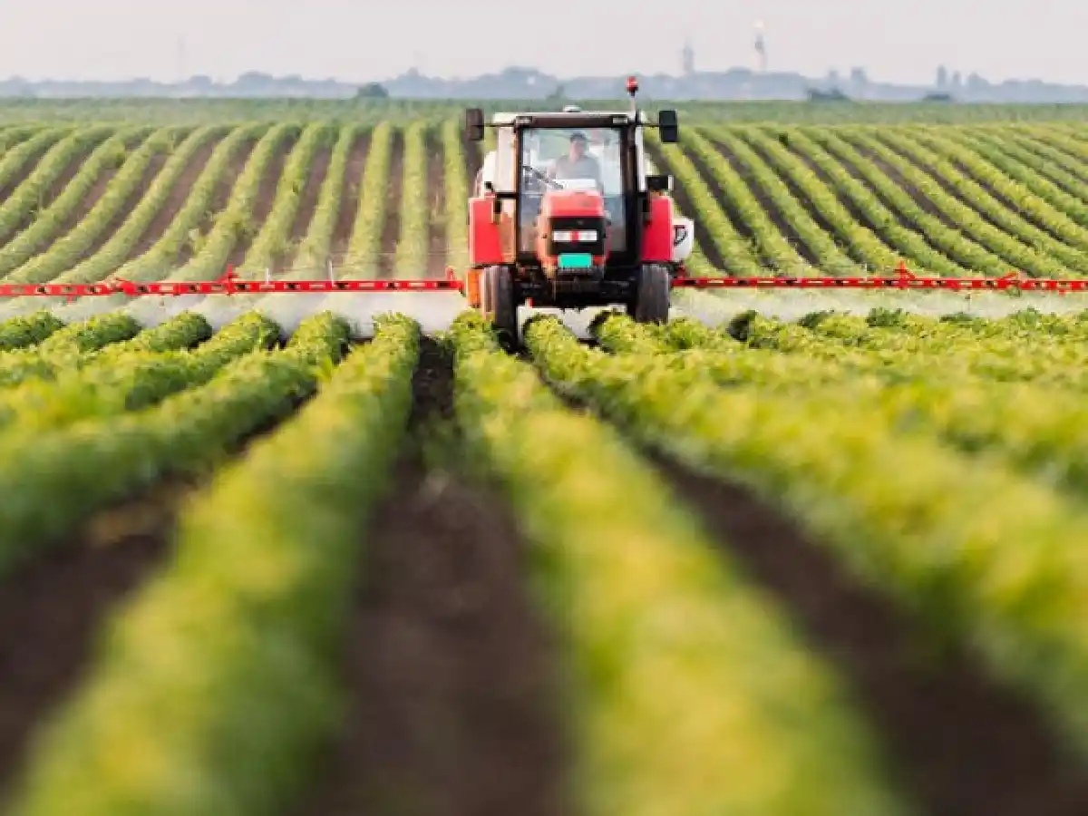 Campo vs. Gobierno: la Sociedad Rural se suma al reclamo de la Federación Agraria 