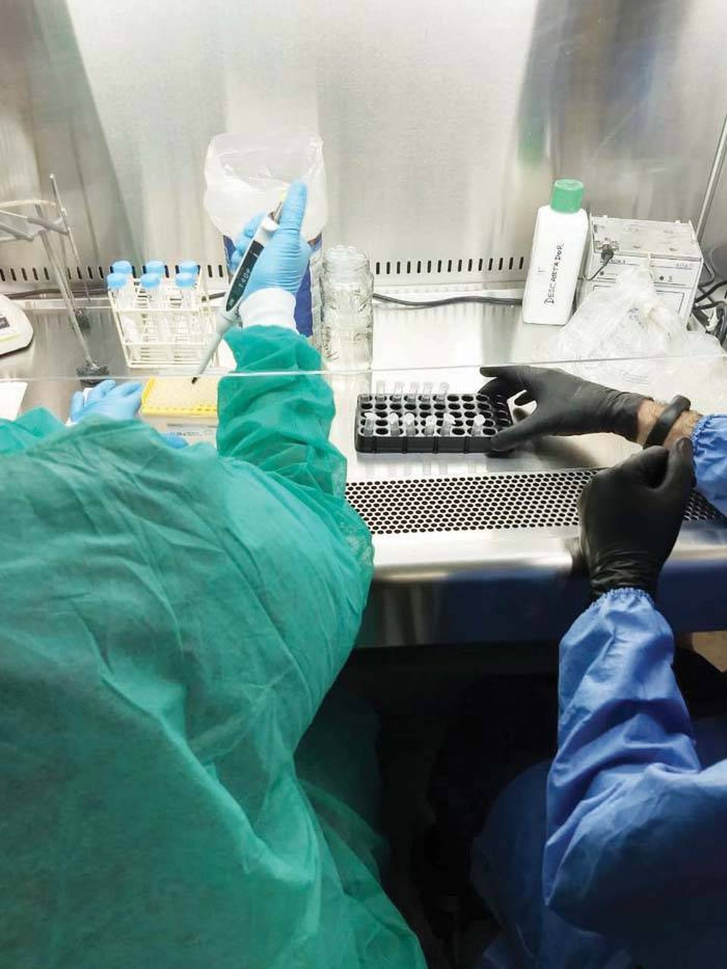 El Laboratorio del Hospital Masvernat comenzó con la extracción de ARN