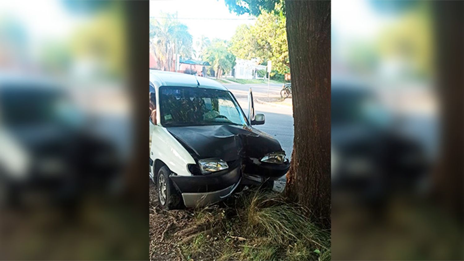 Paraná: chocó contra un árbol y tenía 1,49 de alcohol en sangre