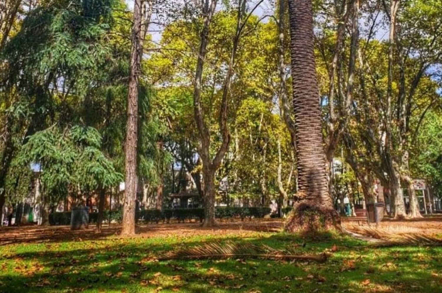 Rosario: murió el cartonero que atacaron en una plaza para robarle