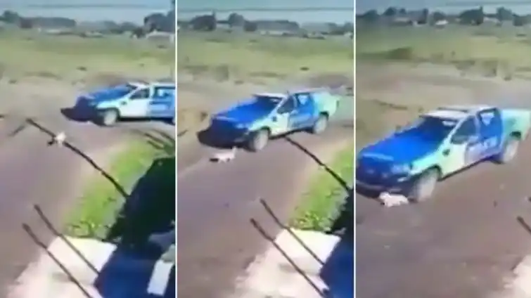 Policías persiguieron y atropellaron a un perro en Zárate: Piden sanciones de Cáffaro y la Bonaerense