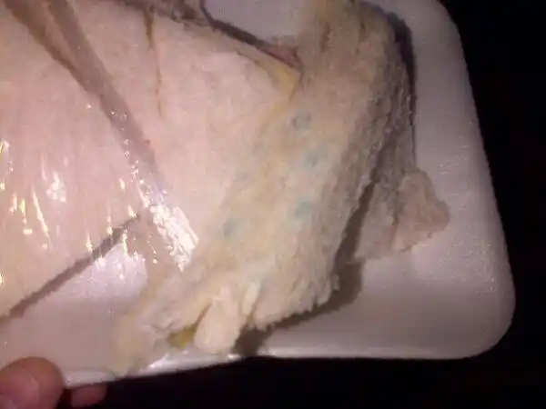 Paro de UTA: Reparten sandwiches vencidos con hongos a pasajeros varados en Retiro 
