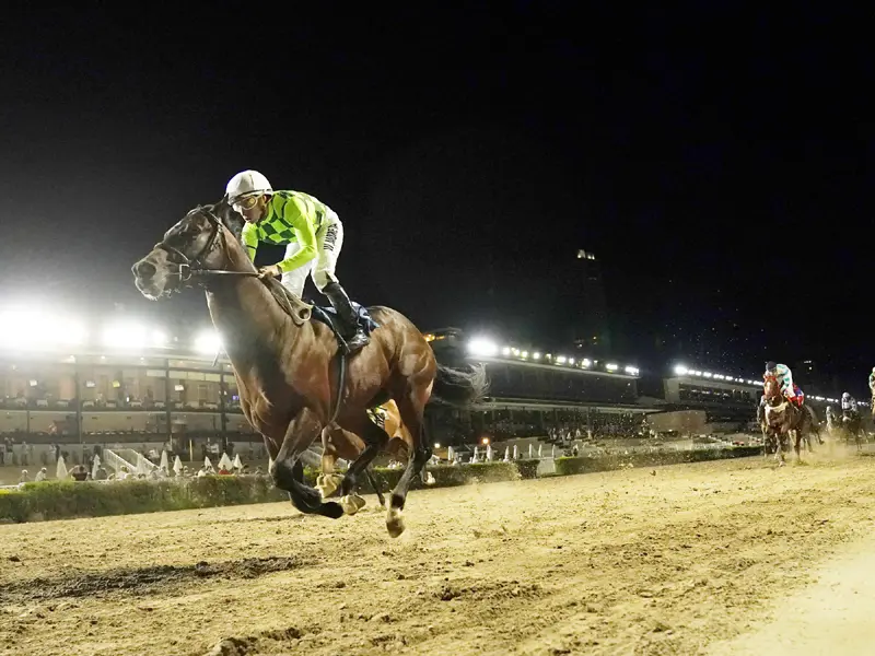 Domingo 19: Actividad Hipódromo de Palermo