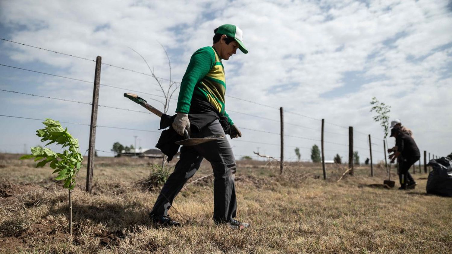 Buscan optimizar las prácticas forestales y atraer nuevas inversiones al sector