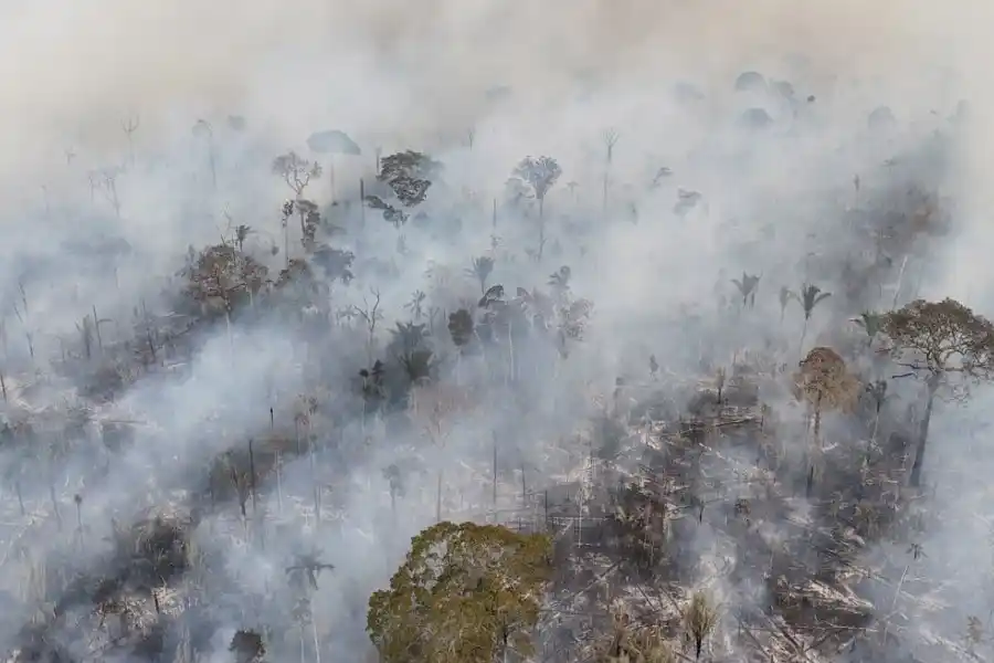 Los incendios forestales en Bolivia comenzaron hace tres meses, pero en las últimas semanas se propagaron y se salieron de control. Crédito: Reuters/Bruno Kelly