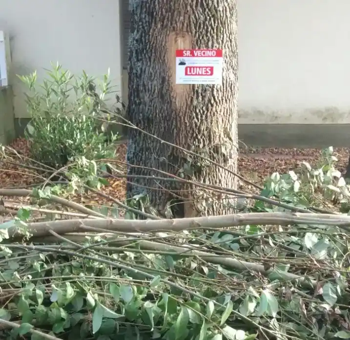 Madariaga: Las multas por arrojar residuos en la vía pública podrían ascender hasta los $30 mil