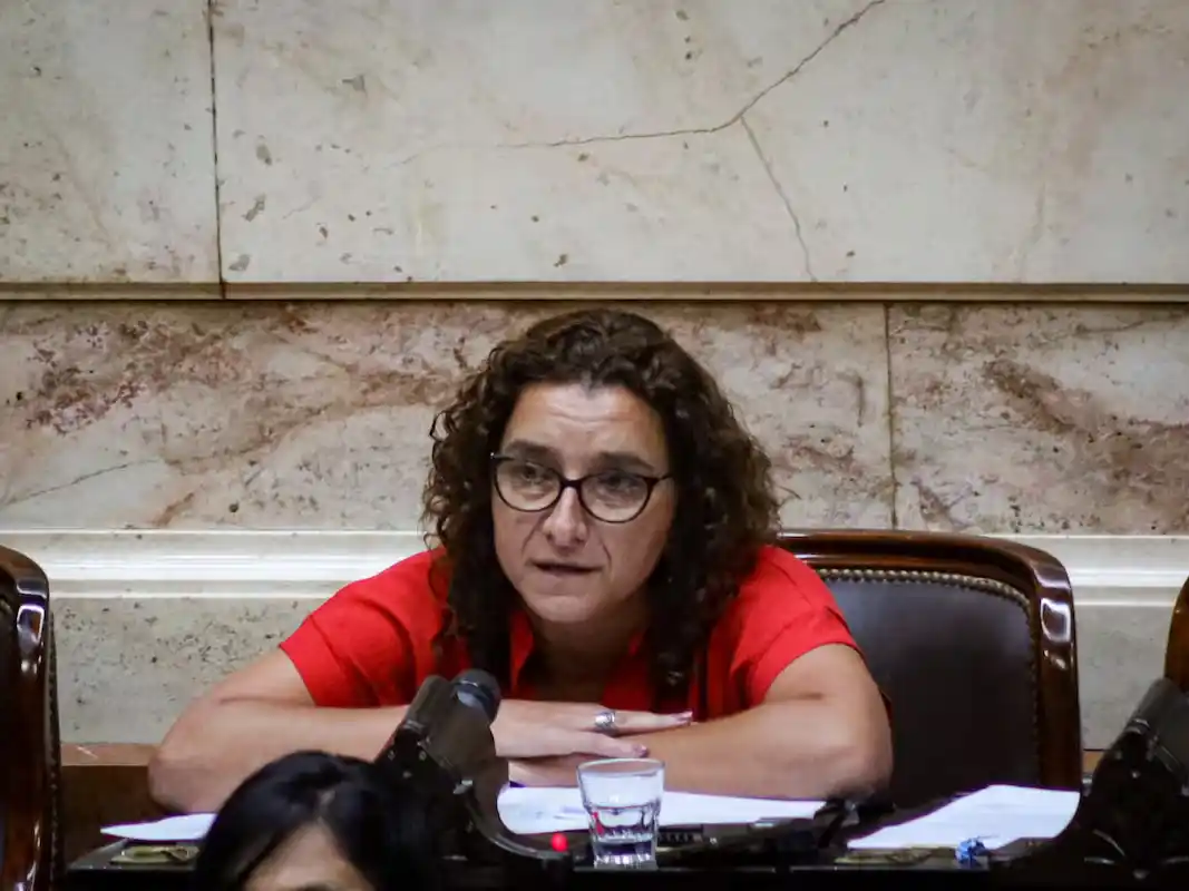 Procesaron a la diputada nacional Vanina Biasi por comparar a Israel con el nazismo en redes sociales