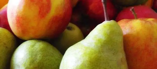 Afirman que pequeños y medianos productores de pomáceas están en extinción