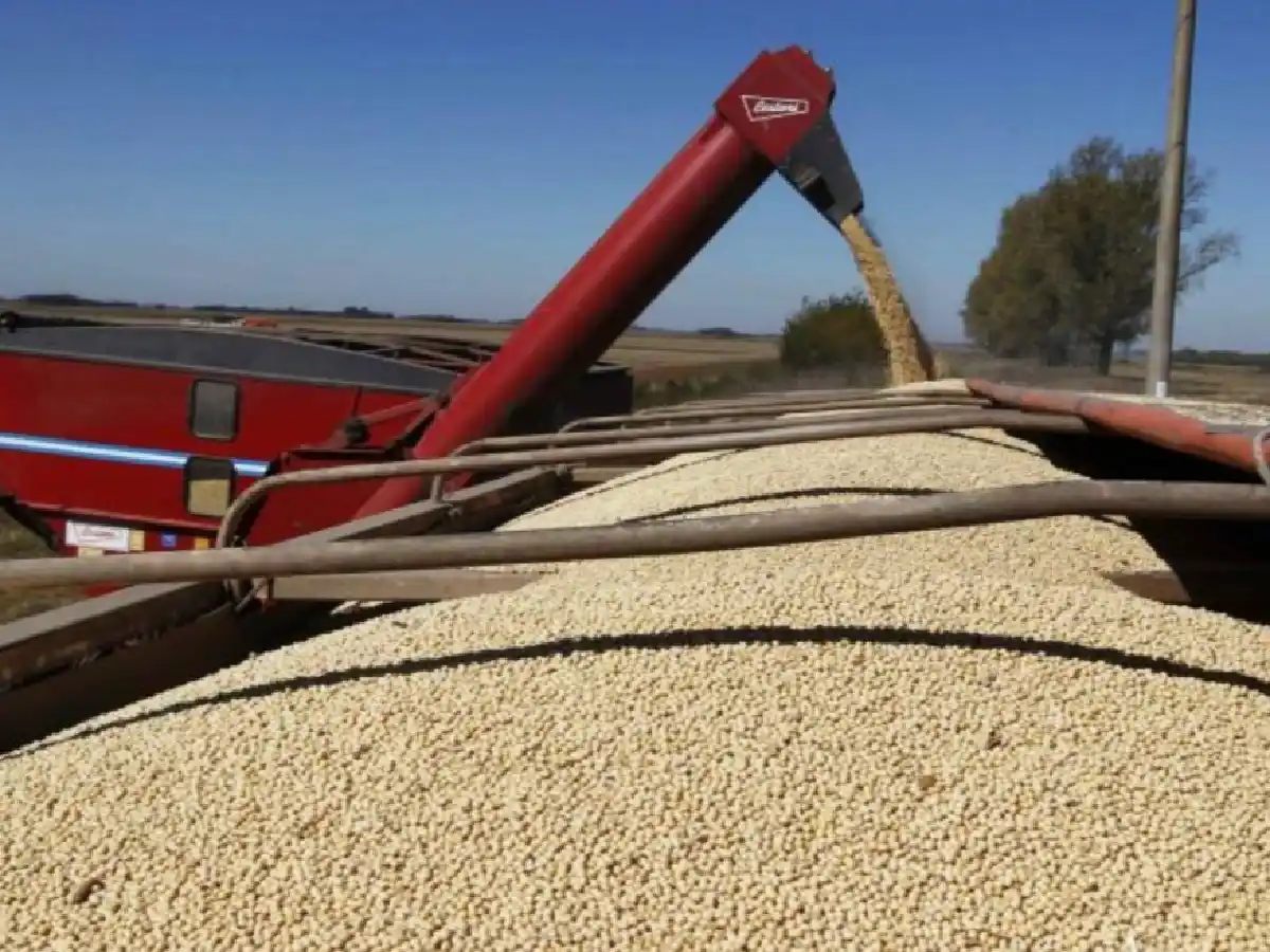 Advierten que podría haber desabastecimiento de aceite por el paro de transportistas