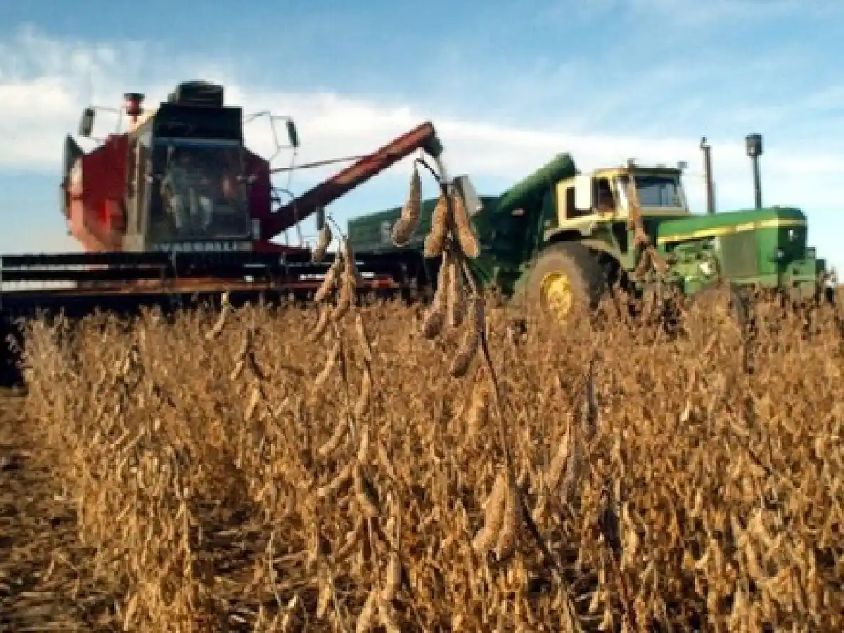 Falta de gasoil: el agro cordobés demandará 240 millones de litros    