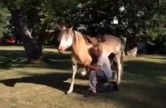 Video: mirá con que facilidad Facundo Arana doma un caballo