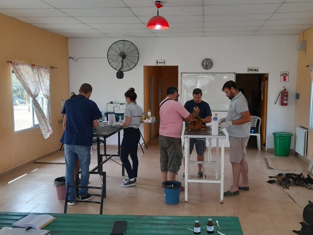 Trasladaron la Dirección de Veterinaria Municipal junto a la Subsecretaría de Ambiente al predio del exfrigorífico