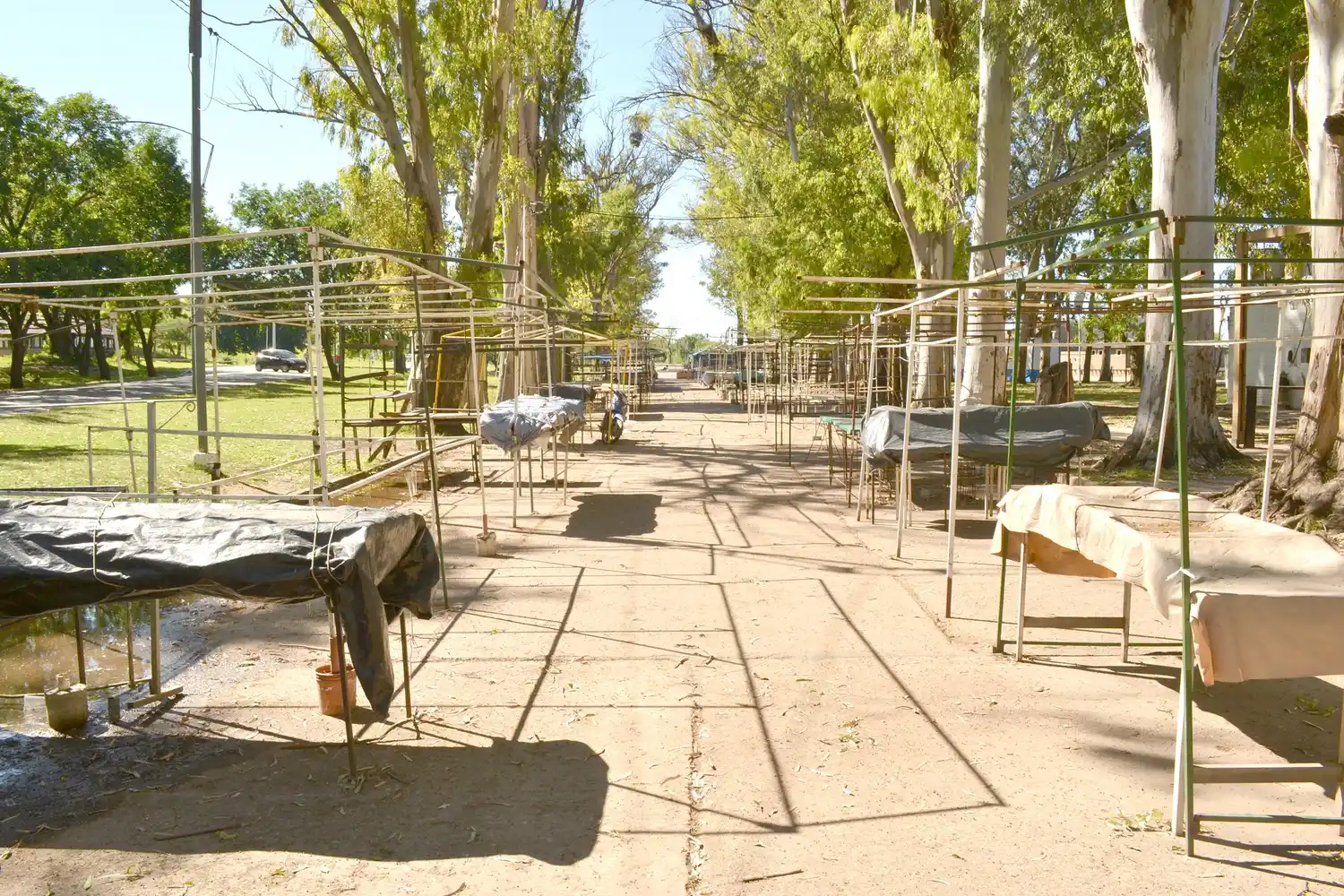 Se negocia el traslado de la Saladita a un espacio aledaño