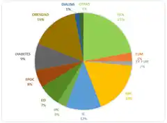 Desde el primer deceso de 2020, en todas las semanas se registró al menos un muerto