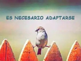 Una información necesaria…3ª Entrega