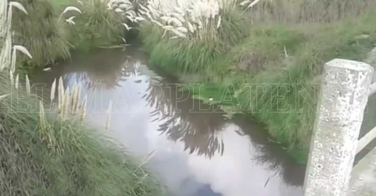 Macabro hallazgo: encontraron el cadáver de un bebé en la Ruta 11