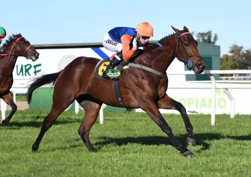 Stay Tune, uno de los principales candidatos del Gran Premio Jockey Club (G1), en San Isidro.