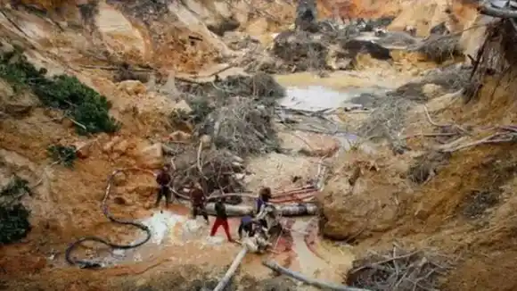 ¡LEONARDO DICAPRIO ALERTÓ SOBRE SITUACIÓN DE VENEZUELA! Denunció que sufrimos una de las deforestaciones más grandes del mundo