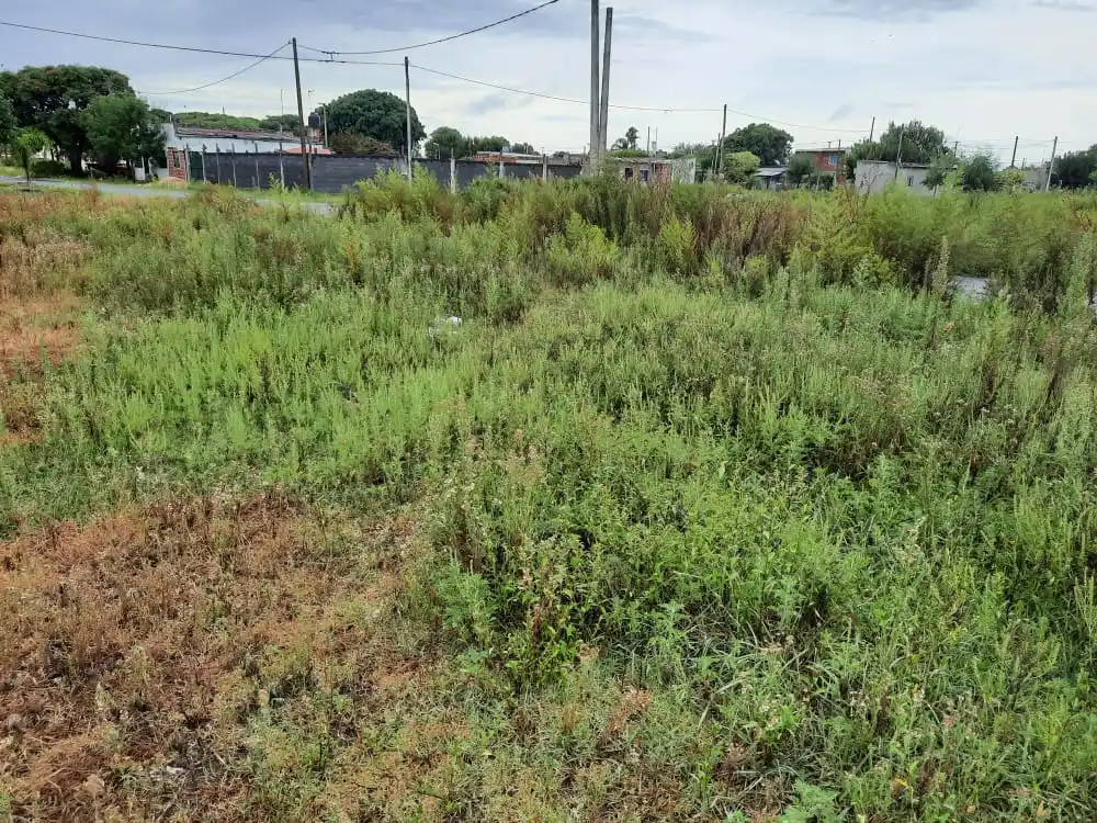 Reclamo por terrenos con basura