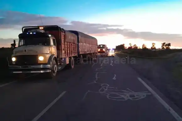 Accidente fatal en la región: un motociclista subió a la ruta y fue embestido por un camión