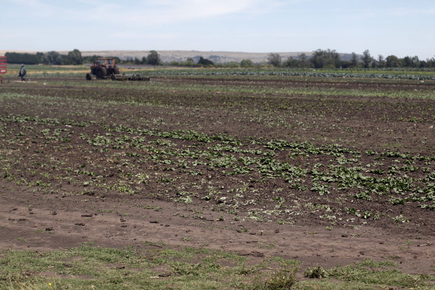 La sociedad rural, preocupada por los caminos y la inseguridad