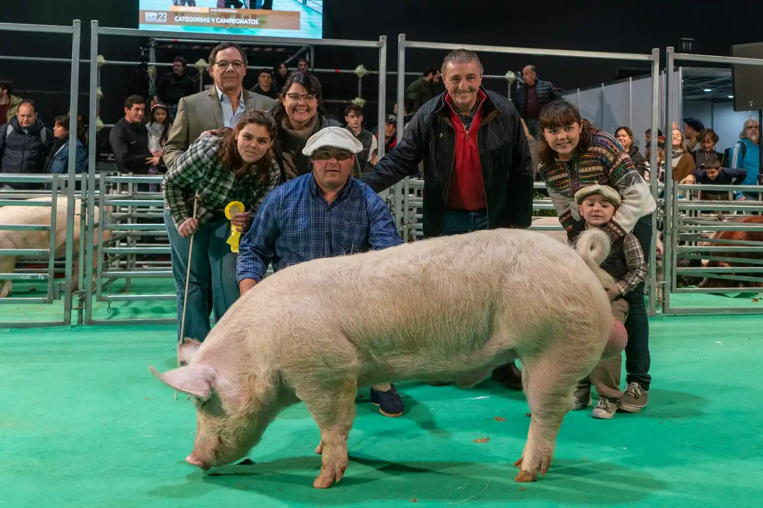 “La Blanquita”: la cabaña porcina más antigua del país, también dice presente en la Expo Rural 2023