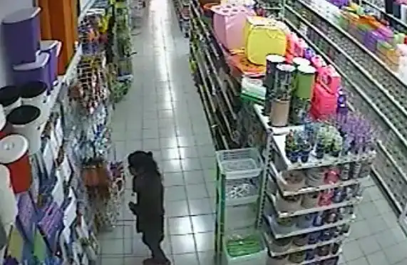 Filman a mujer llevándose mercadería de un bazar de la ciudad 