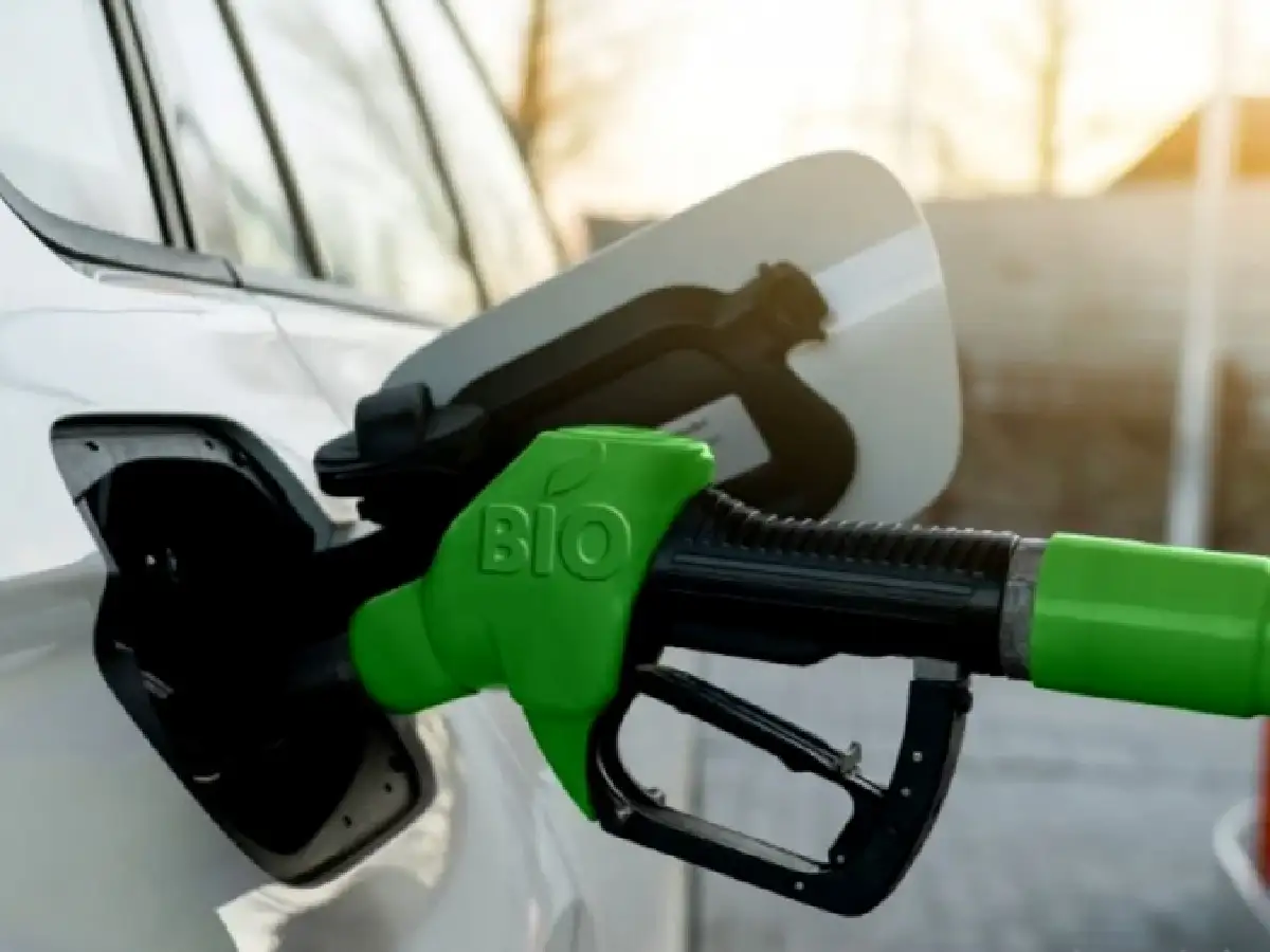 Proponen incrementar el porcentaje de biodiesel para resolver faltante de gasoil