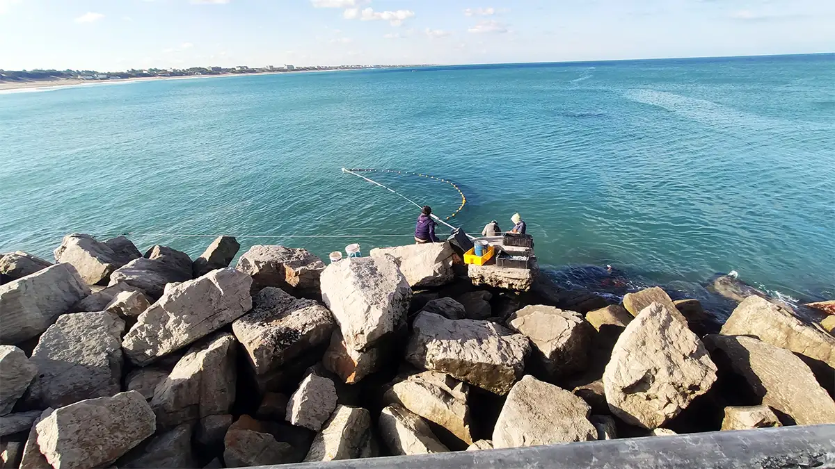 Pesca cornalitos