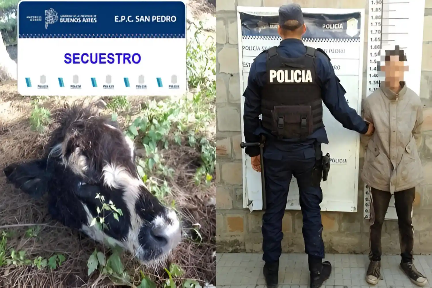 El detenido por abigeato circulaba en una moto robada.