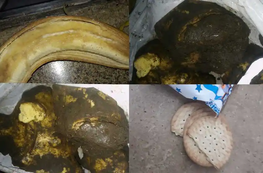 Servicio alimentario: las graves fallas que informaron los docentes