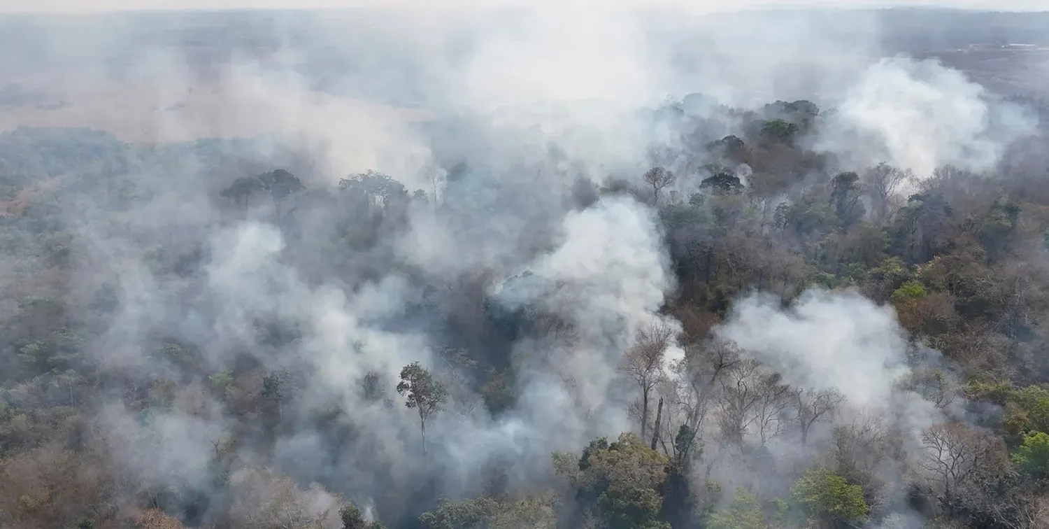 El humo de la quema de vegetación se eleva en una selva tropical en el municipio de Bonfim, estado de Roraima, Brasil. Crédito: REUTERS.