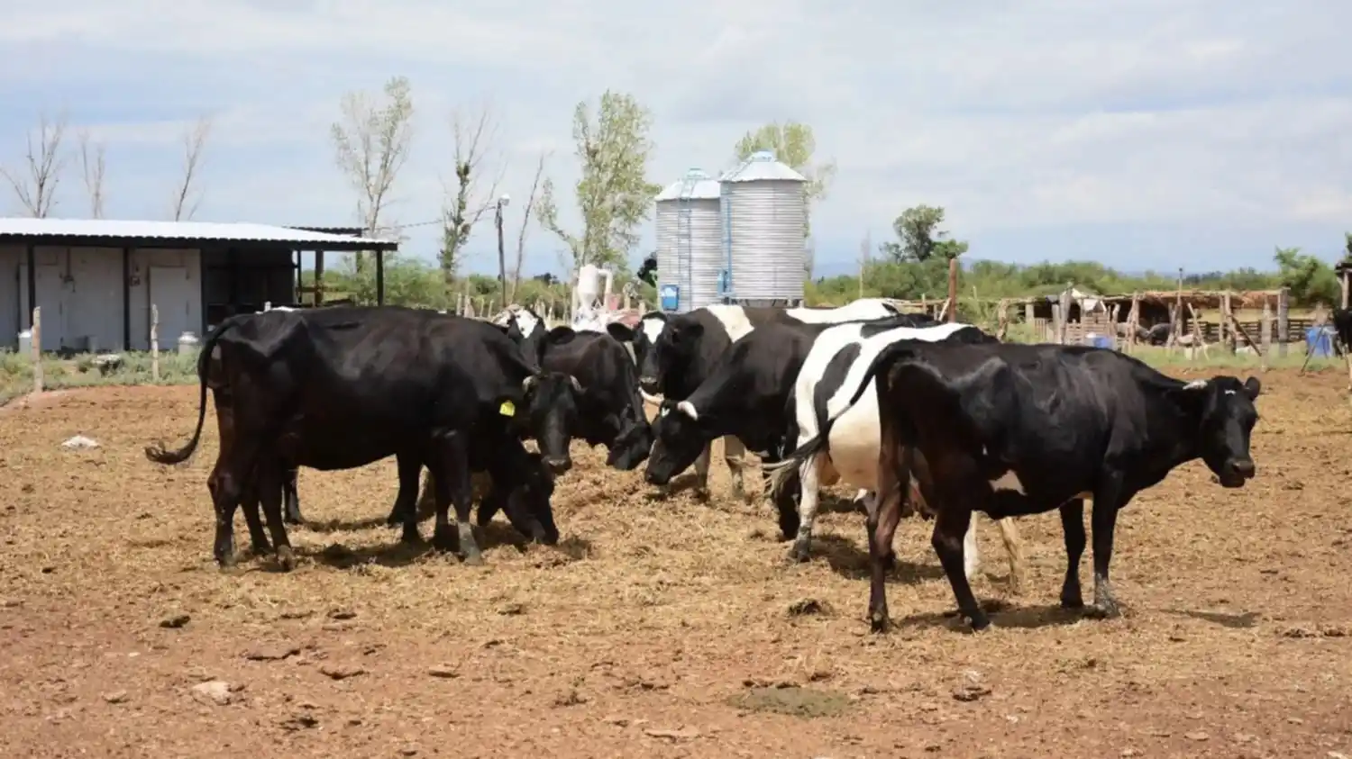 Tambos de familia convocan a una concentración para este miércoles