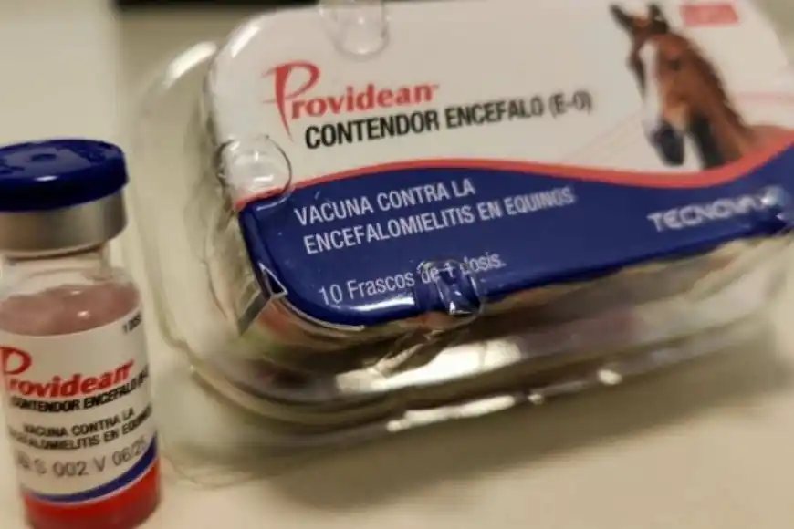 SENASA aprobó vacunas contra la encefalomielitis equina. Estarán disponibles en Entre Ríos