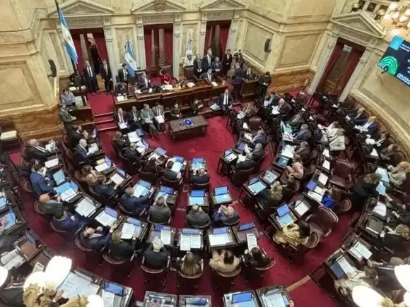 El Senado volvió a desafiar a Milei y ratificó dos leyes clave