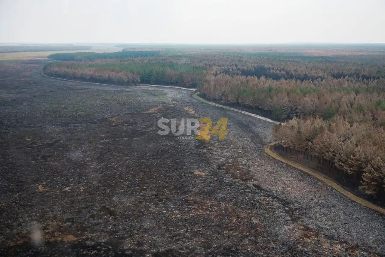 El gobernador de Corrientes anunció que se apagaron los incendios en la provincia