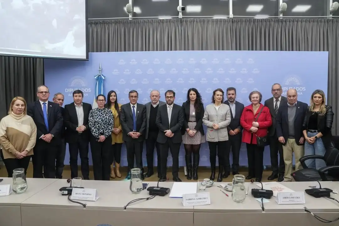El titular de AMIA, Amos Linetzky, expuso ante la comisión de Derechos Humanos de la Cámara baja.