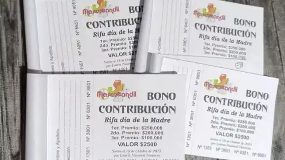 “Mascotandil” con deudas por 8 millones, vende rifas para poder seguir rescatando animales