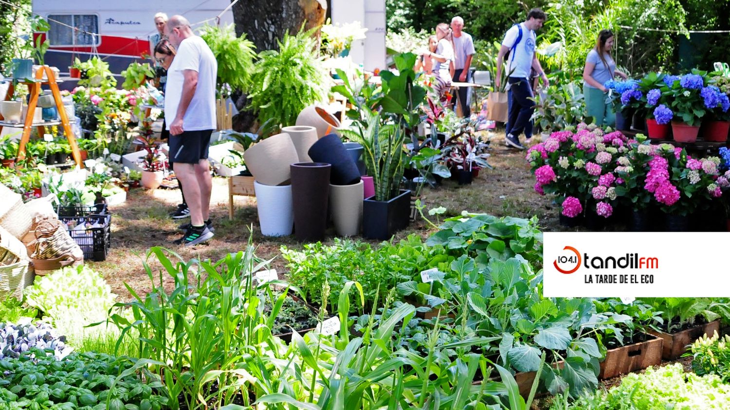 Se ultiman preparativos para la 12º edición de Expo Jardín