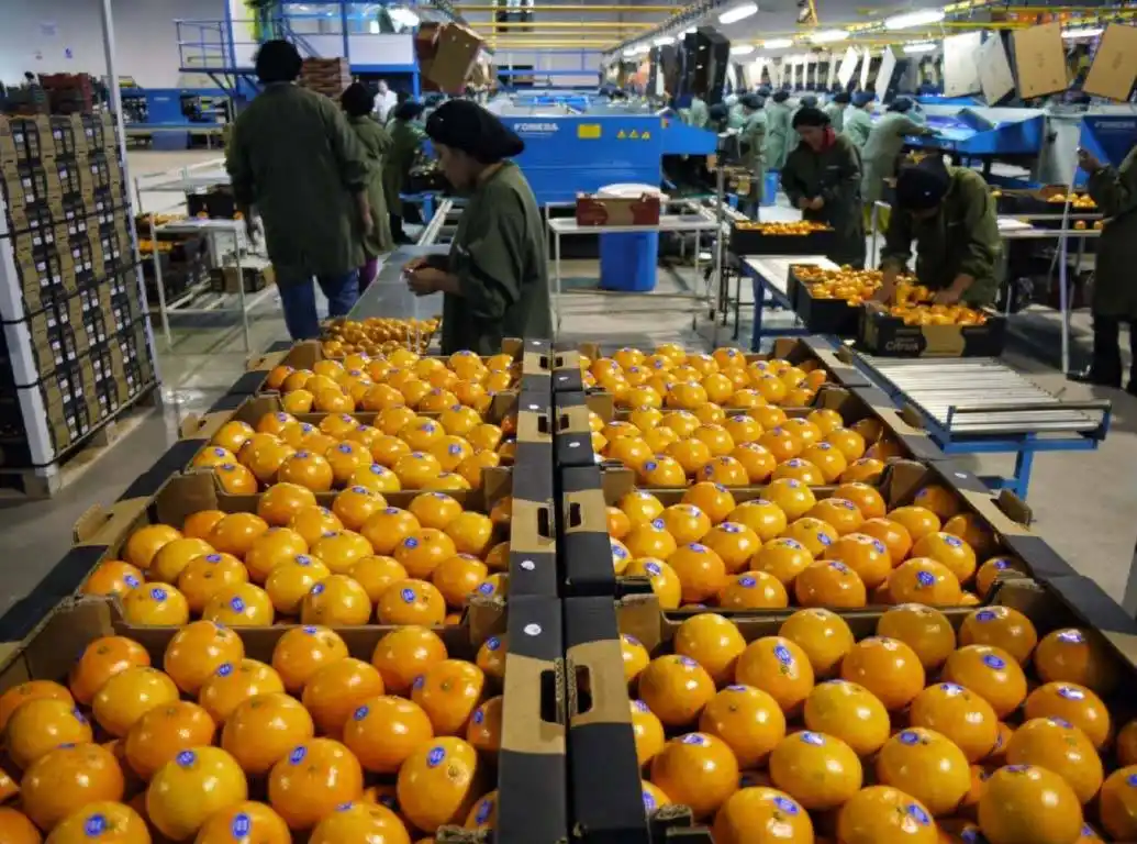 Citrus: la Provincia gestiona mejoras para ampliar mercados internacionales