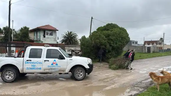 Por el temporal, Mar Chiquita no registró evacuados, aunque sí "caída de postes y árboles"