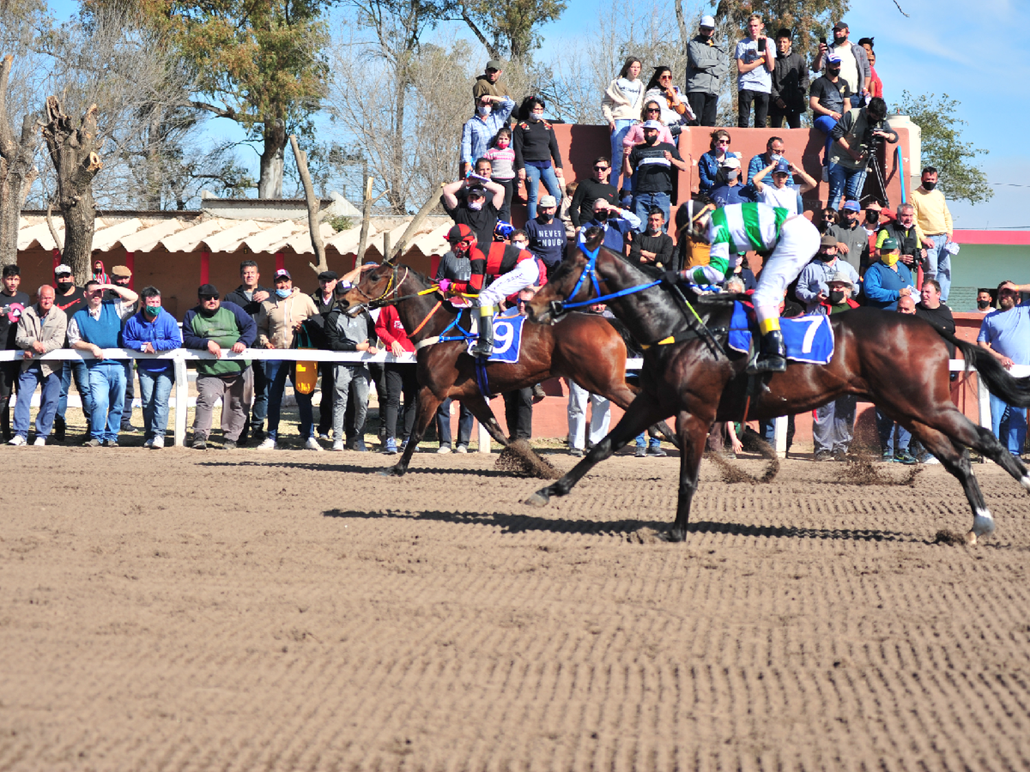 El hipódromo local listo para otra jornada hípica especial