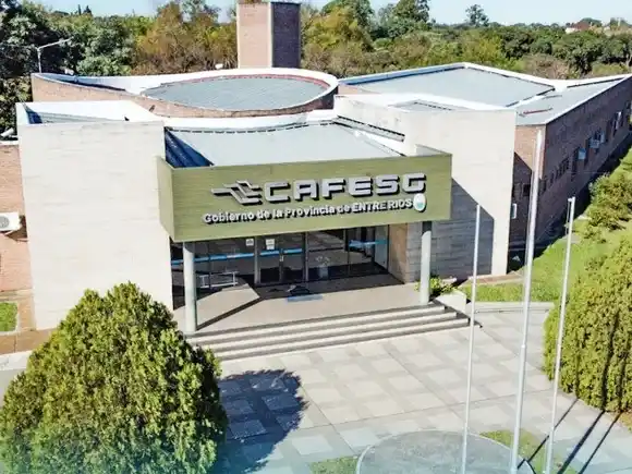 Cecco: “Tenemos un compromiso con la eficiencia del Estado”