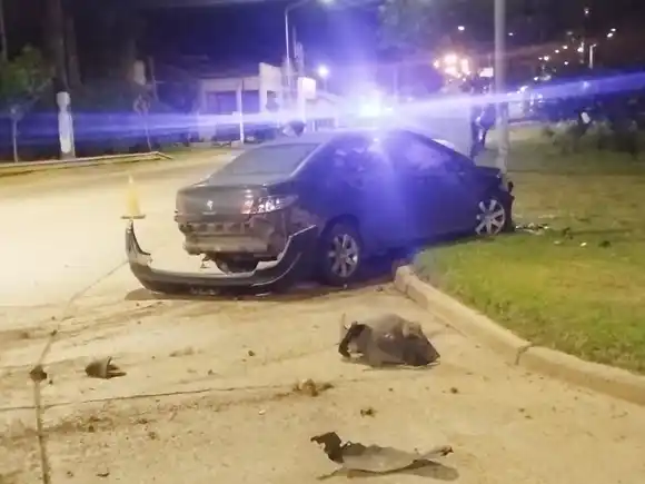 Villa Adela: un Peugeot 408 chocó contra un poste de alumbrado público