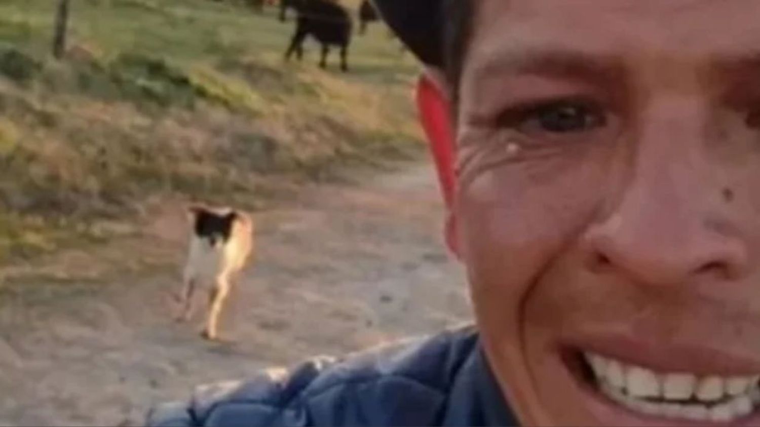 Lo echaron de su trabajo y su video llorando fue viral: Ahora inspeccionaron el campo y aplicaron multas