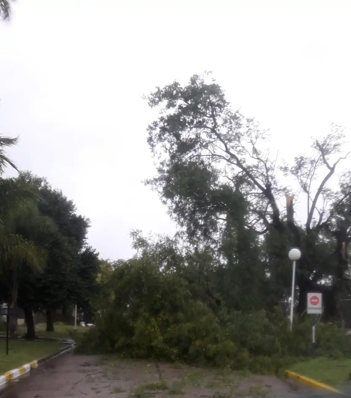 Tormenta lluvia y viento en Entre Ríos enero 2023